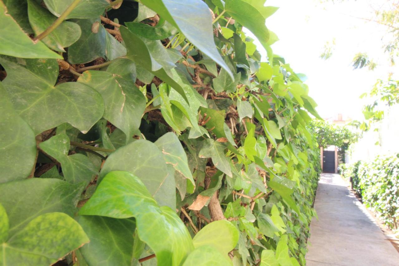 Del Parque Flats Pina Beach 马拉加 外观 照片